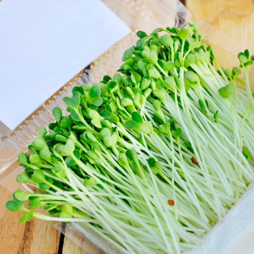 Rau cải mầm